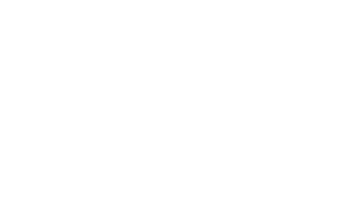 IndoInsure
